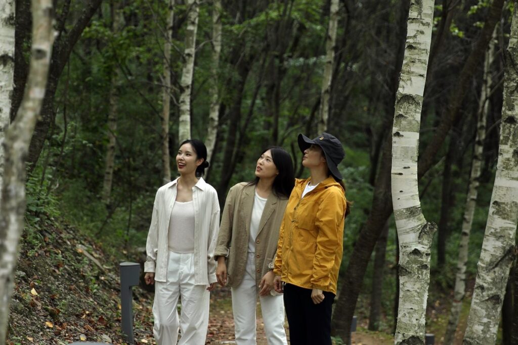 정부 여행 무상 지원