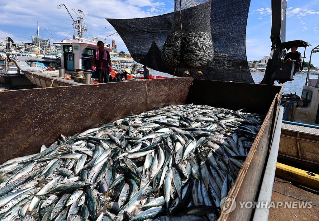 장바구니 물가 정부 지원