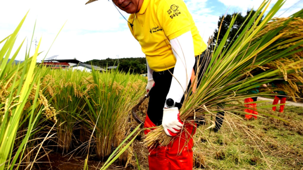 비닐하우스 온도 기름값