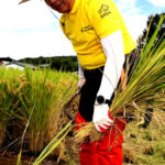 비닐하우스 온도 기름값