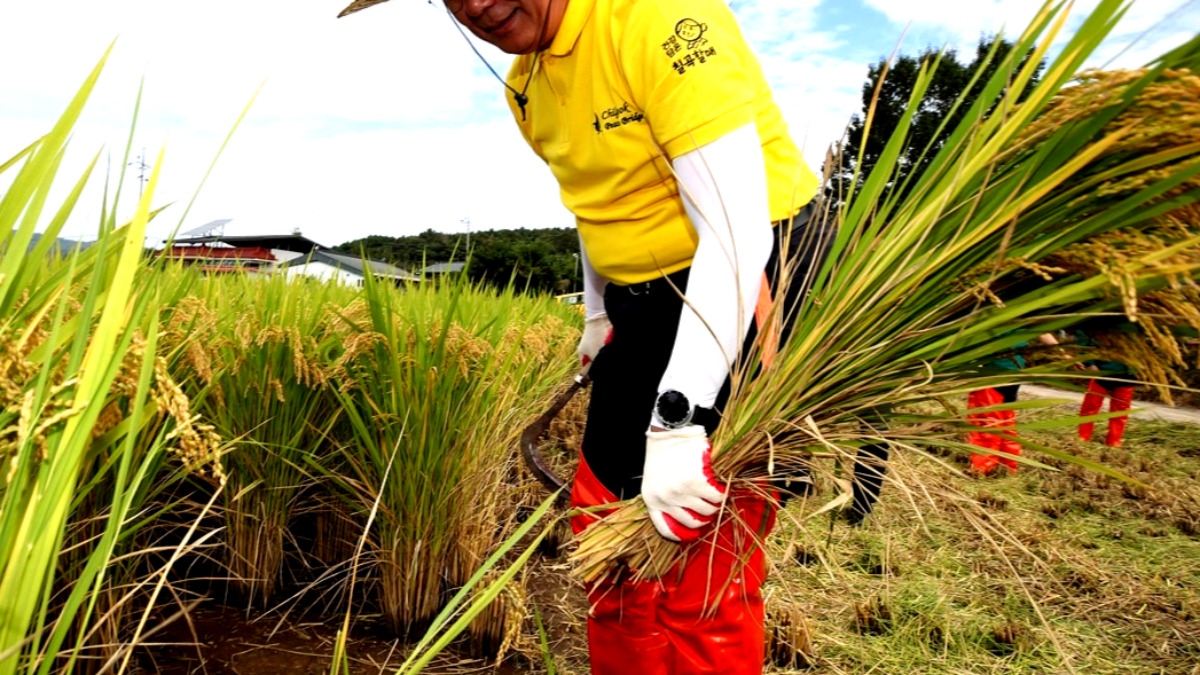 비닐하우스 온도 기름값