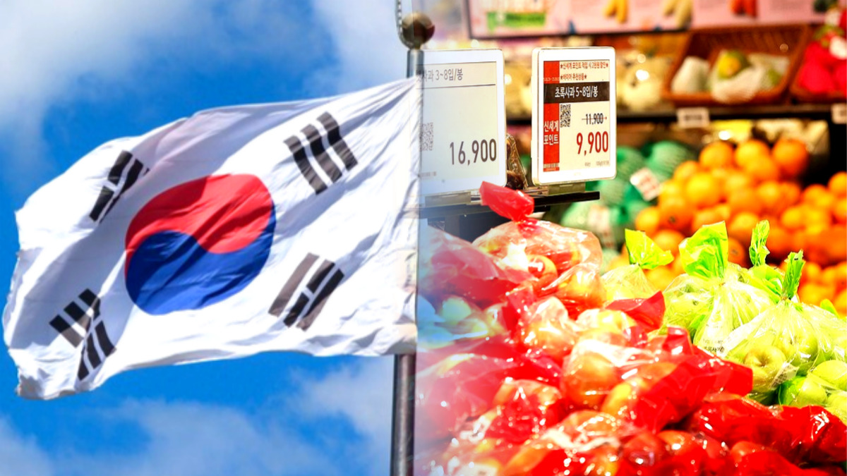 제주산 키위 수출 예고