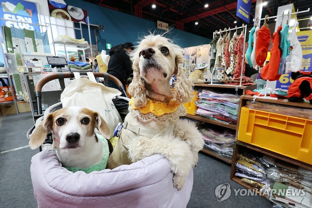 K-펫 산업 수출 예고