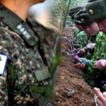 북한 신형 전차 훈련