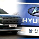 팰리세이드 북미 시장 리콜