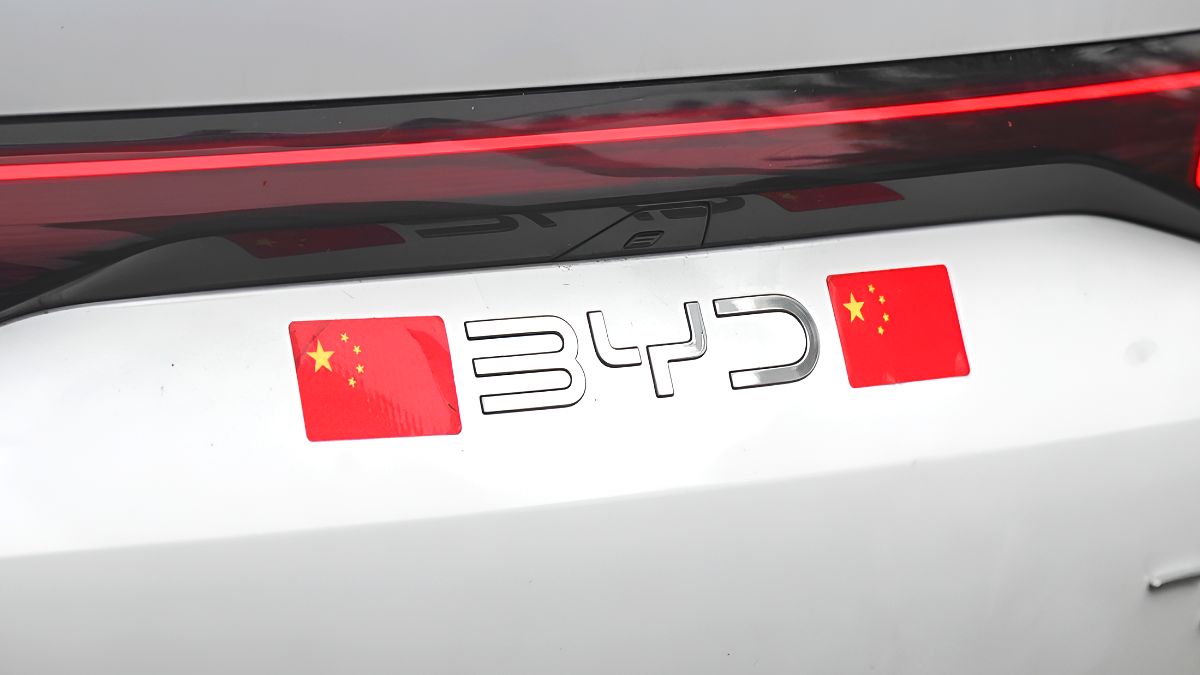 중국 전기차 시장 변화