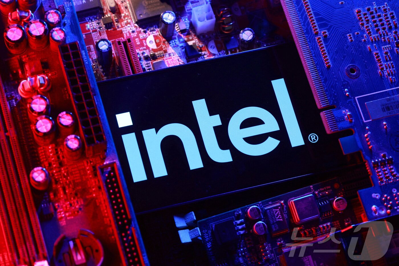 테슬라 대규모 자체 칩 공장 건설, 반도체 업계 재편되나(종합) - 뉴스1