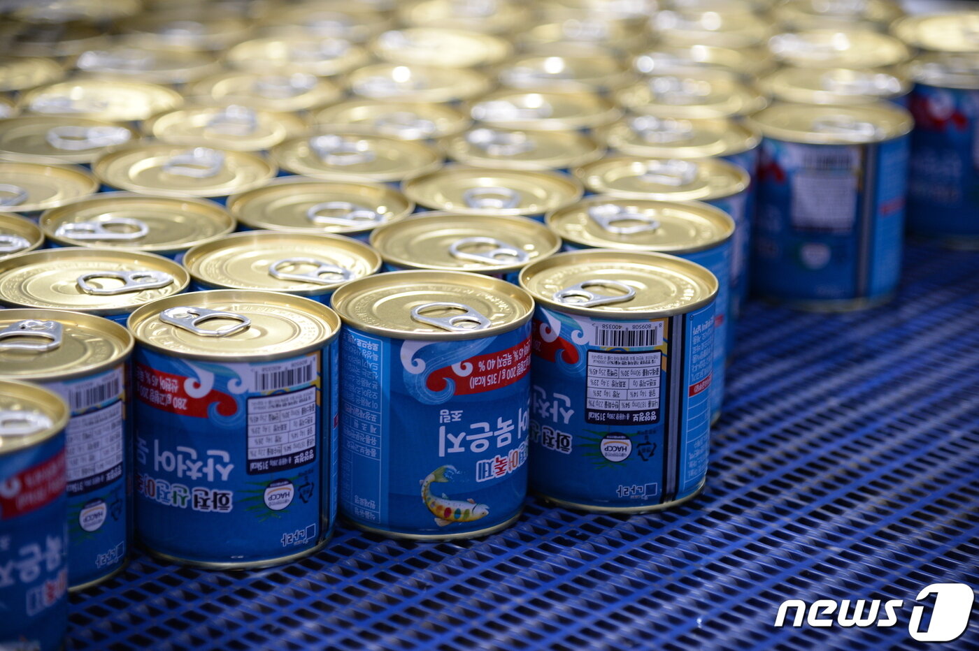 “냉장고에 그냥 두면 큰일 납니다”…모르고 냅뒀다가 ‘후회’하는 이것 3 맛본 적 있나 '산천어 통조림'…화천군 전격 출시 - 뉴스1