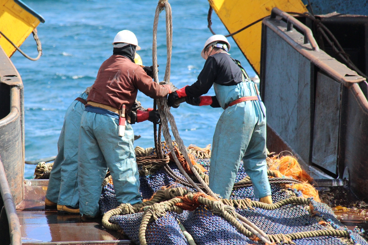 해수분해] 참치캔에 담긴 태평양 항해…식량안보 떠받치는 원양어선 | 연합뉴스