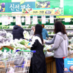 사과 생산 물량 확대