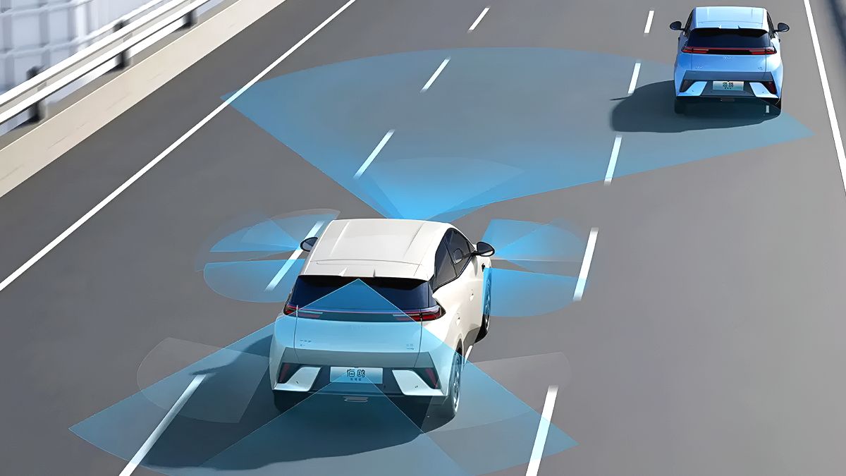 BYD 주행보조 시스템 오작동 논란