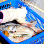 단둥항 북한산 수산물 처리 시설