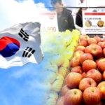 국산과일 수입산 대체