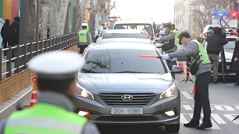 약물 운전 단속