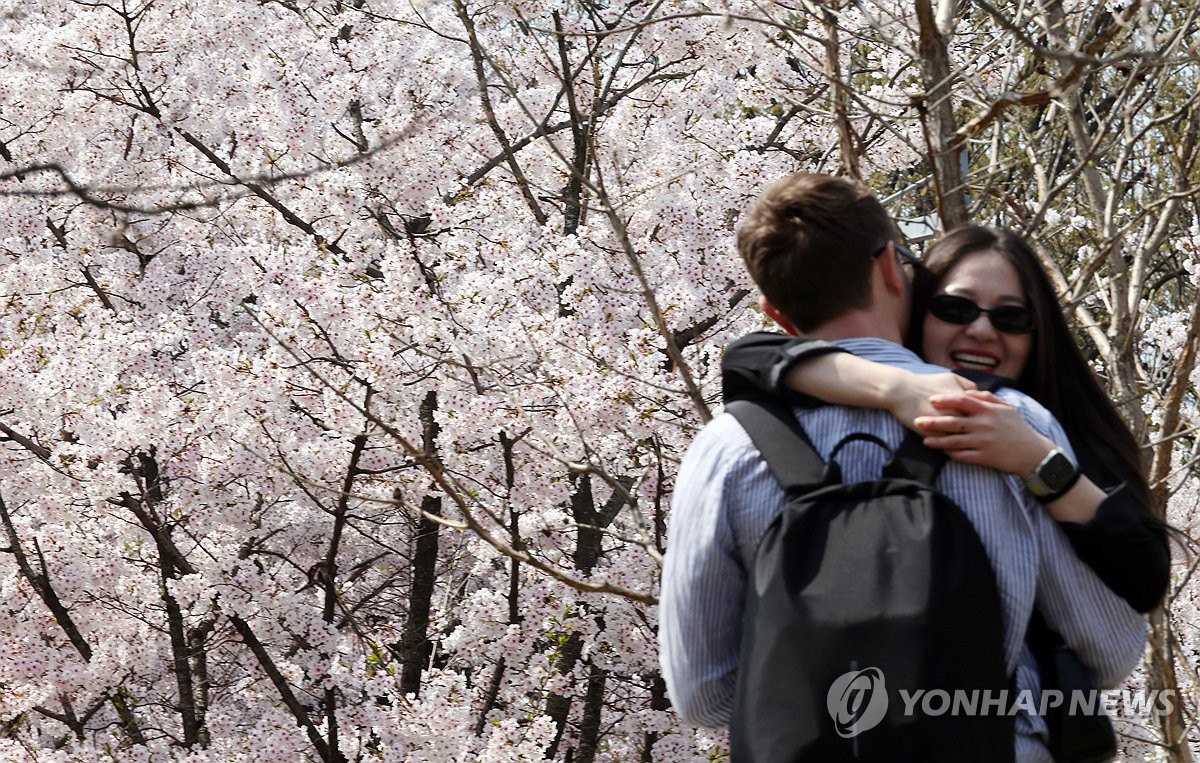 외국인 벚꽃 관광 급증