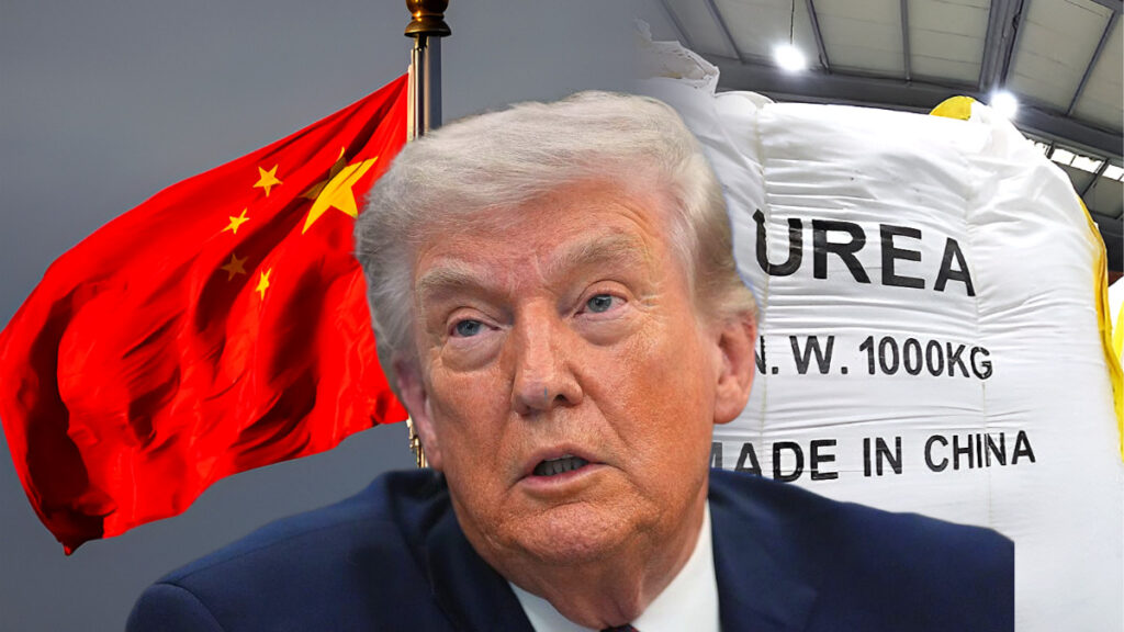 질소 비료(요소) 가격 급등 