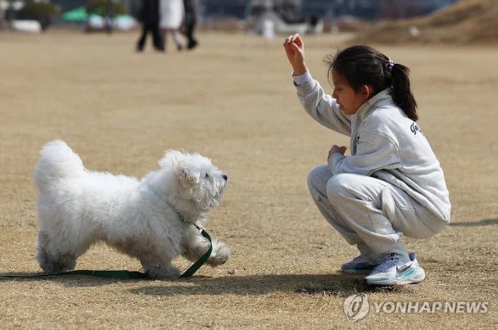 수도권 임대차 시장