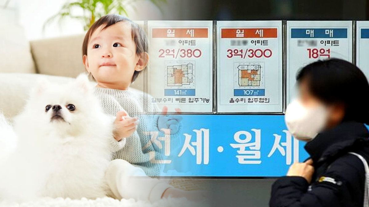 수도권 임대차 시장