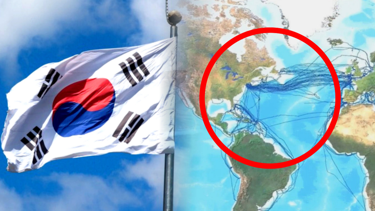 전력망 패키지 잭팟