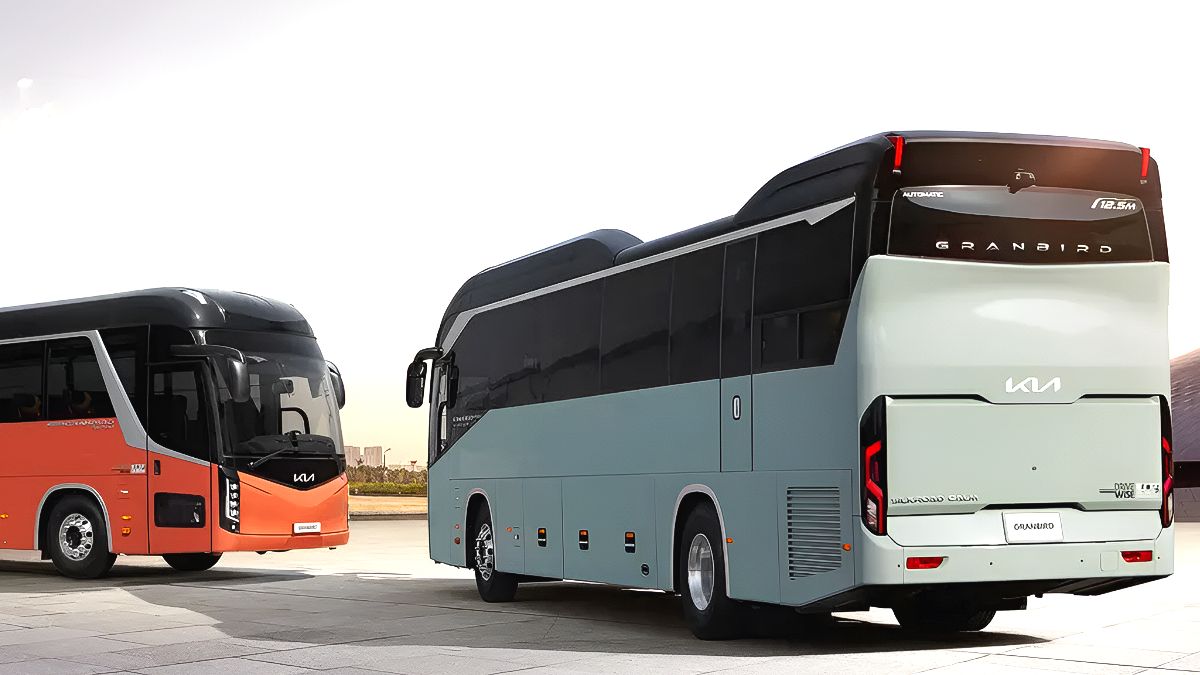 "기아 결국 생산 전면 중단"…32년 버텼는데 중국차에 밀리다니 '이럴 수가' 3 기아