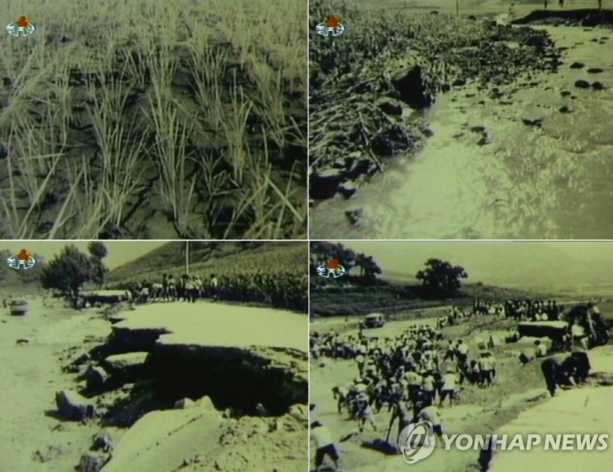 김정일 권력 승계 지연