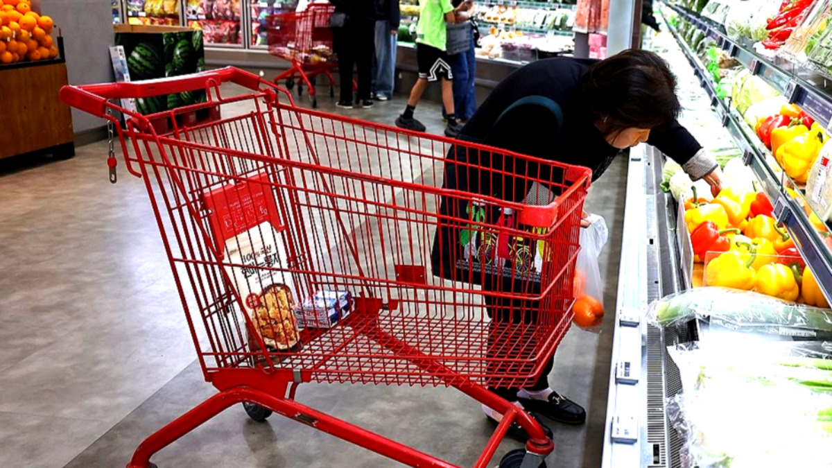 비닐 원가 폭등 유료화