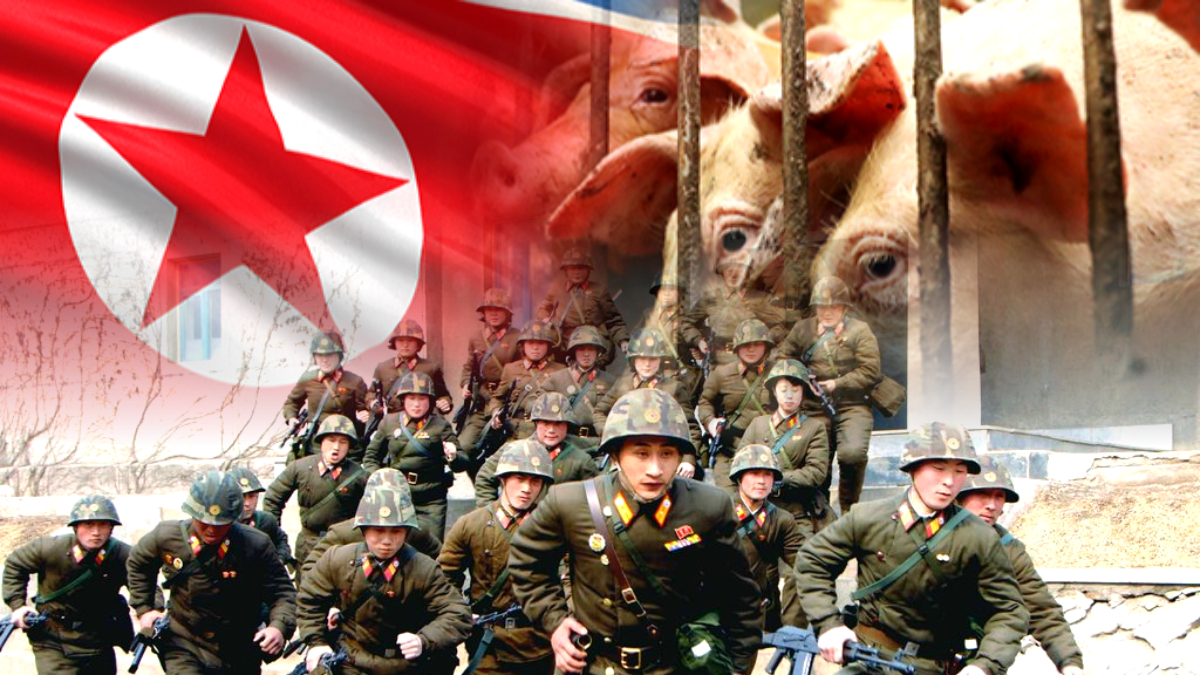 북한 병역 비리