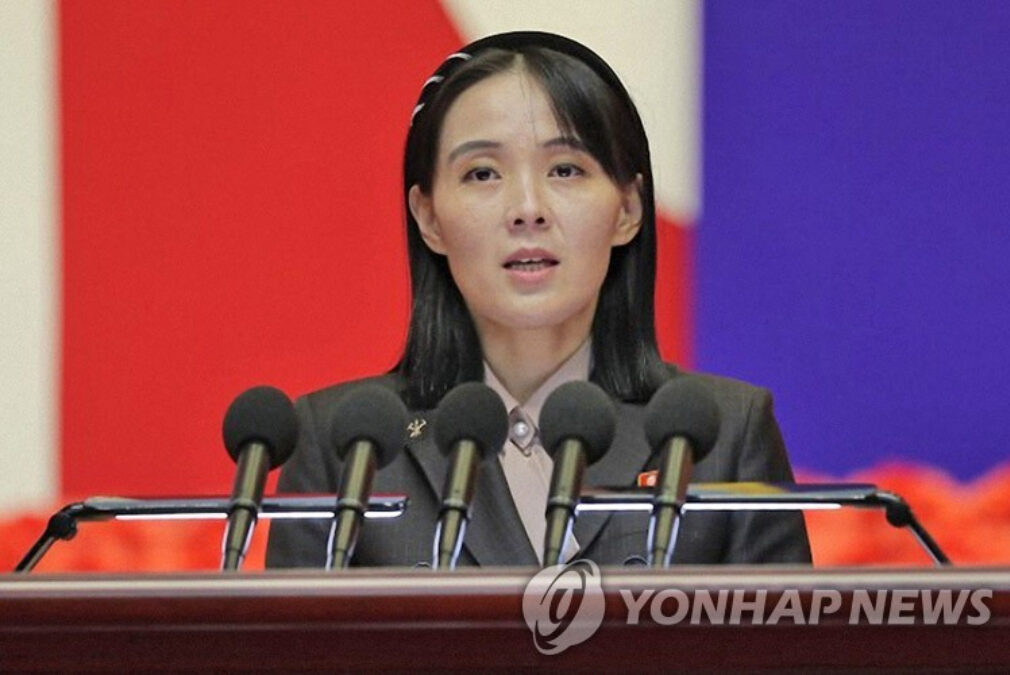 북한 이중 구조 외교