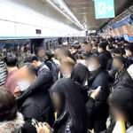 1인 가구 빈부 격차