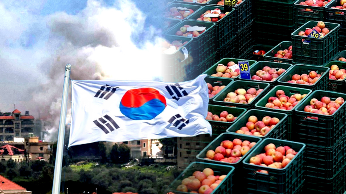 K푸드 중동 수출 급증