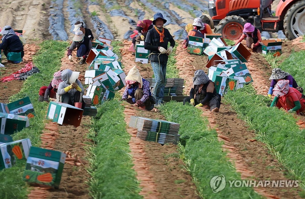 농촌 외국인 일손 급증