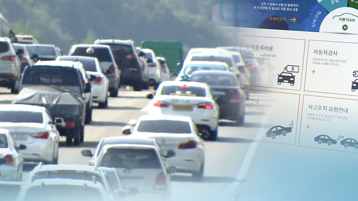 고령자 자동차보험료