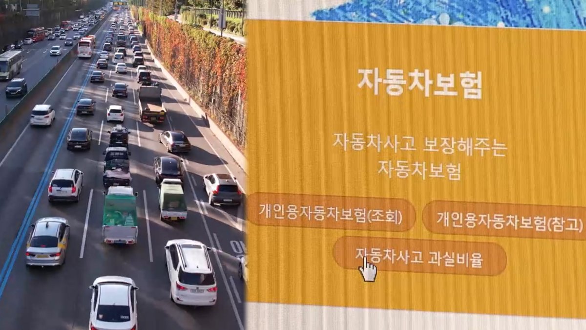 고령자 자동차보험료