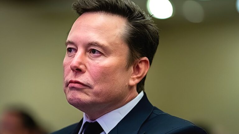 테슬라 성장세 둔화