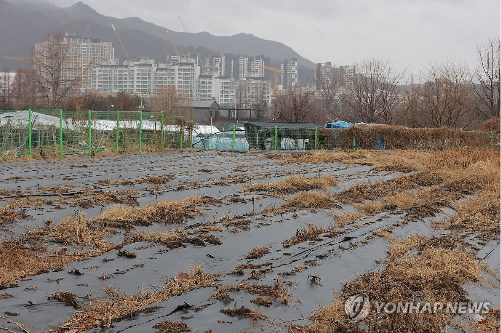 농지 전수조사