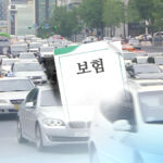 자동차 보험 손해율