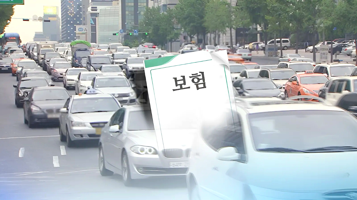 자동차 보험 손해율