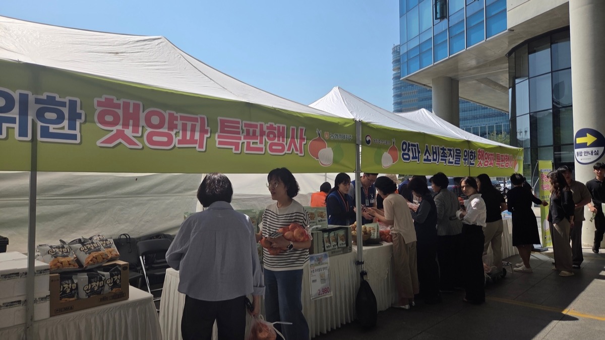 양파 할인 연장