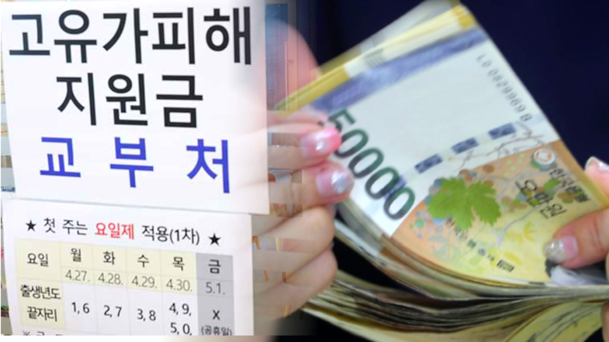 정부지원금