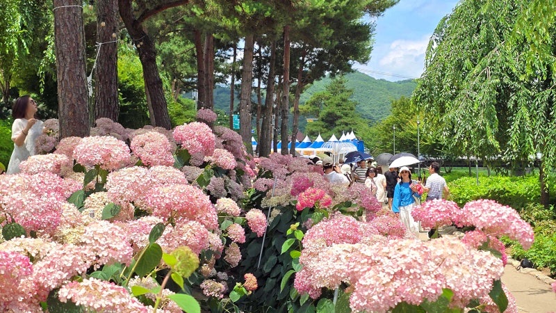 공주 유구 수국정원