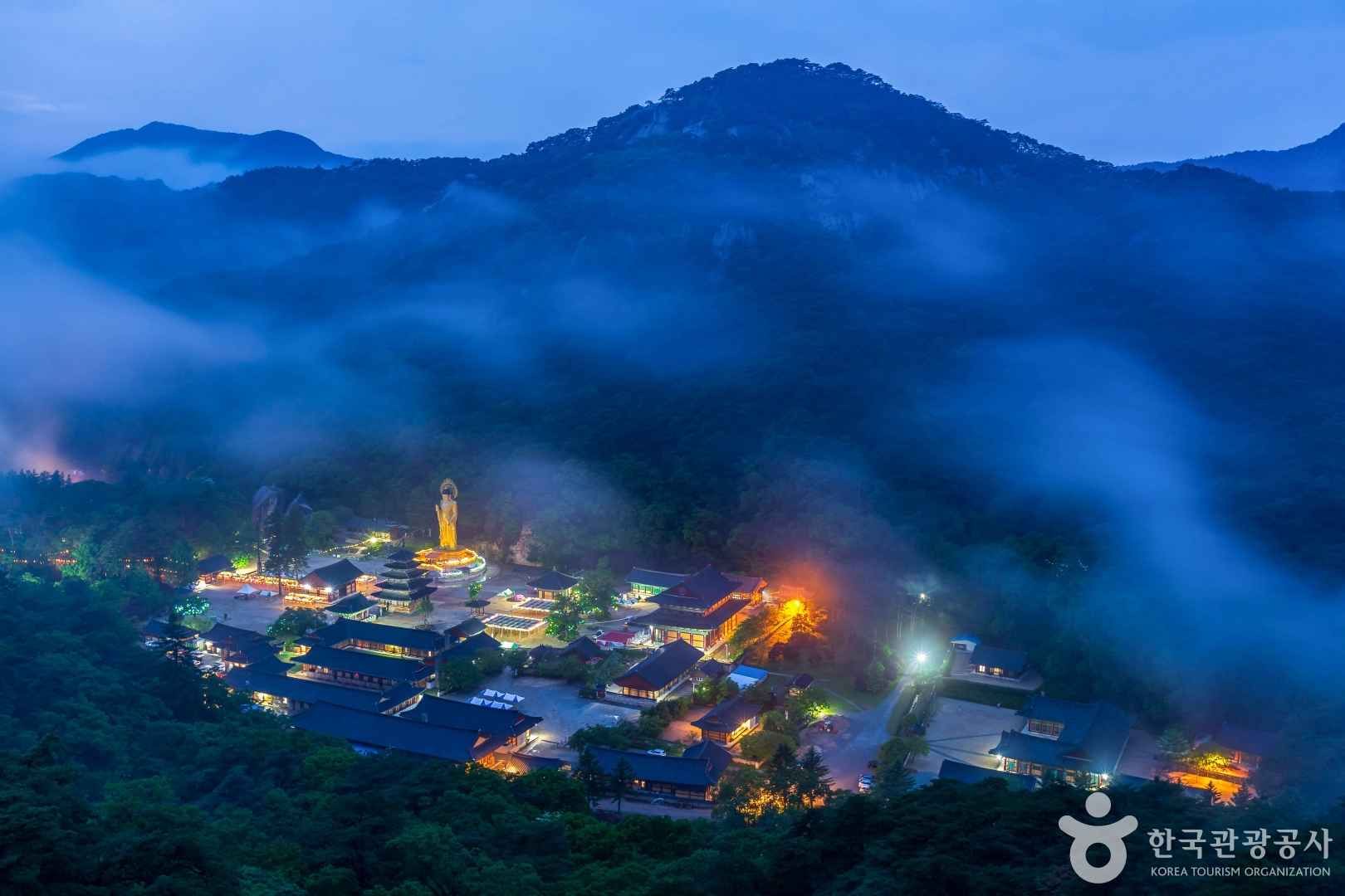 화담숲 수국 여행