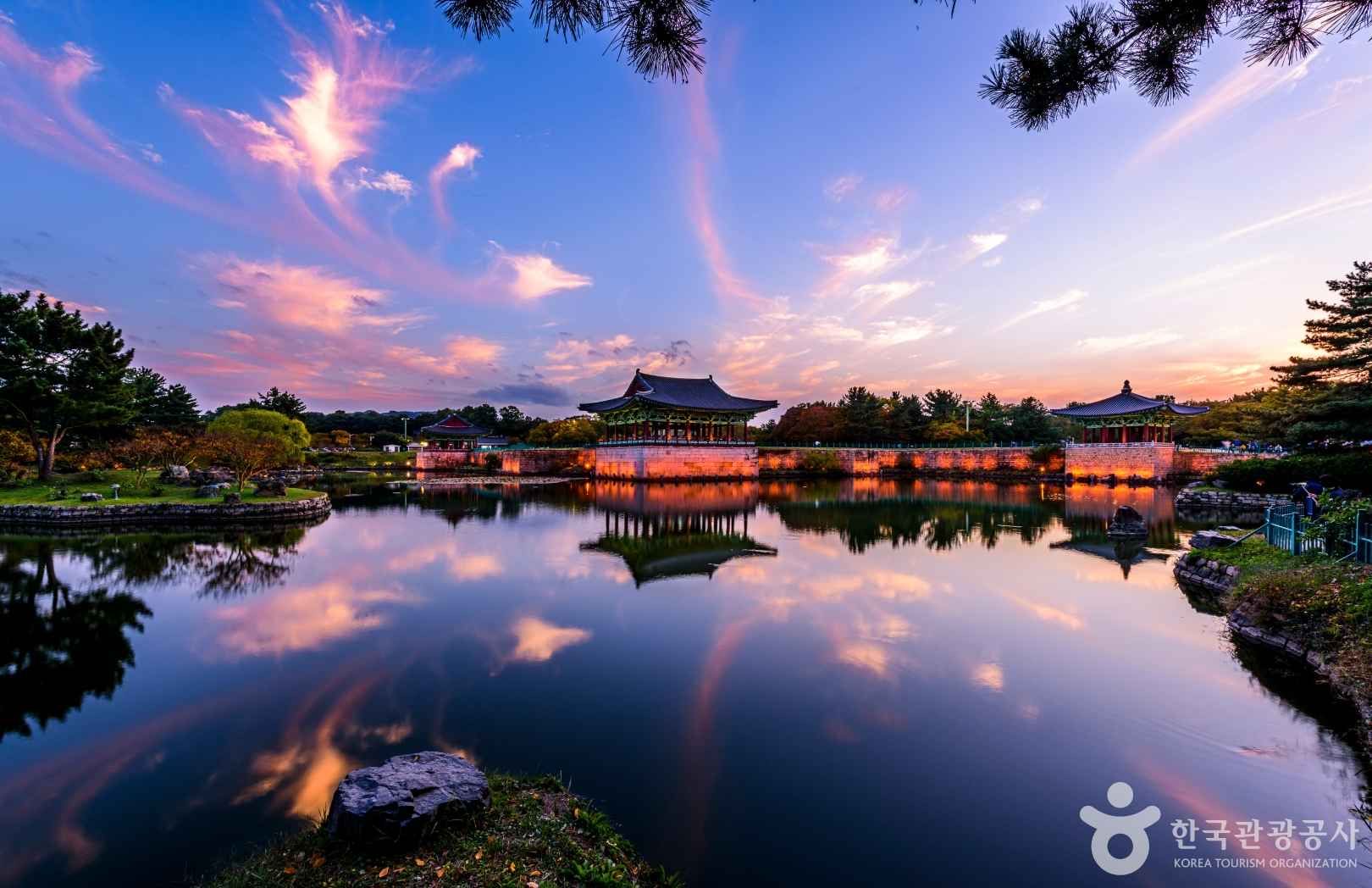 화담숲 수국 여행