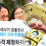 전세사기 피해 청년 지원