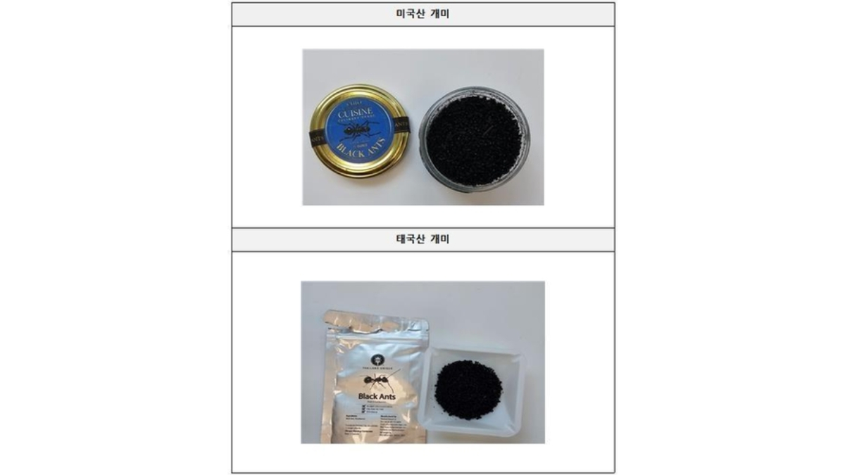 미슐랭 레스토랑 식품위생법 위반