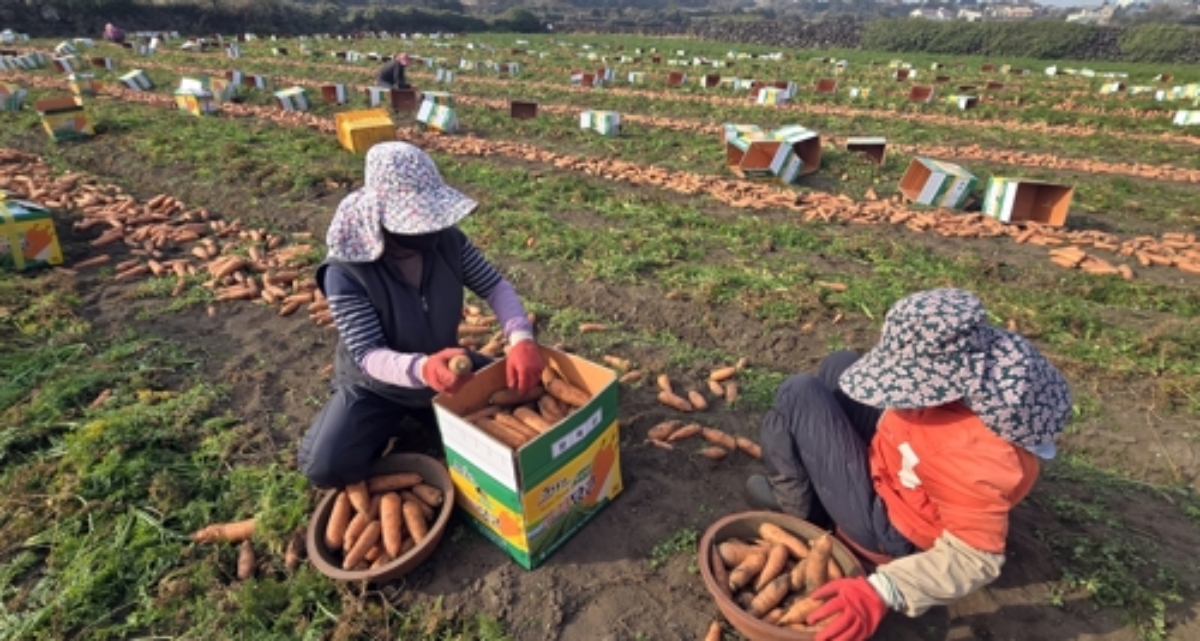 일본