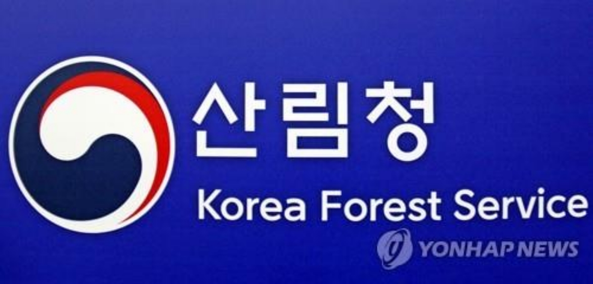 정부