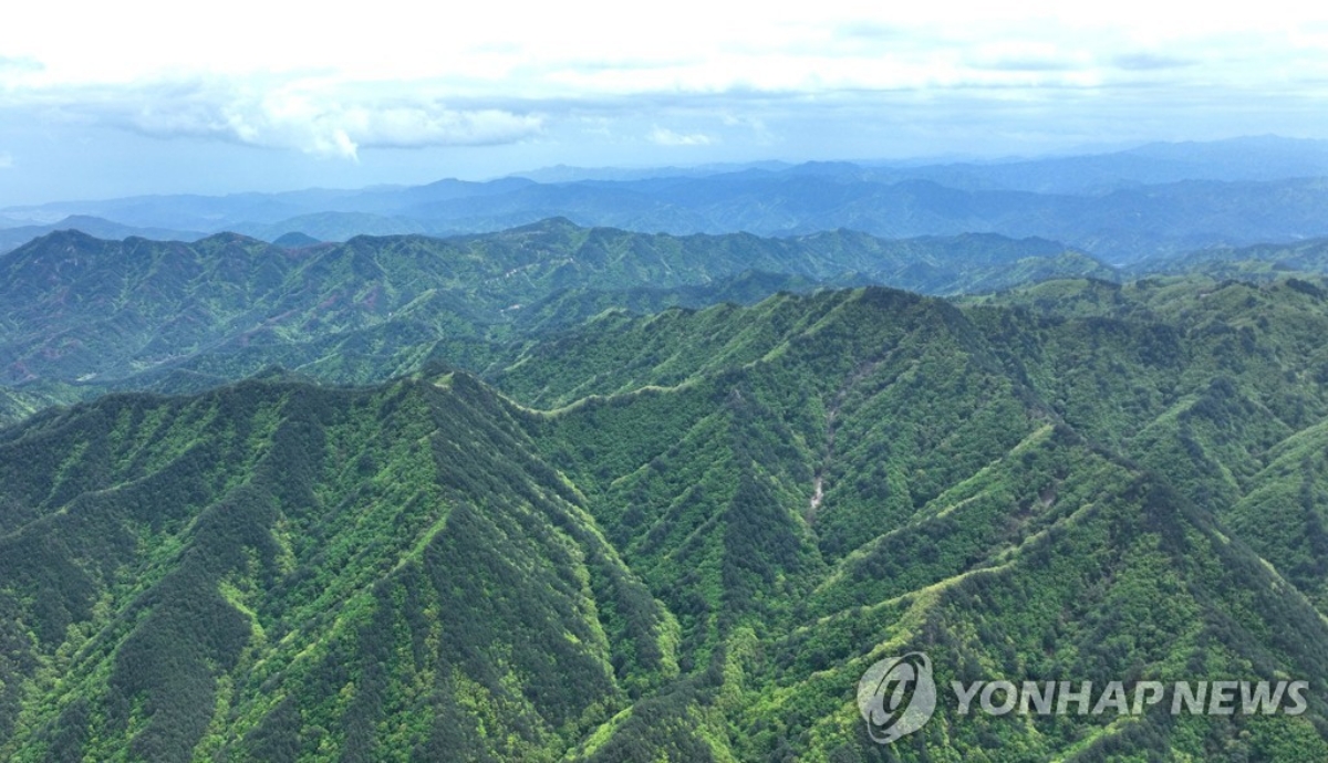 정부