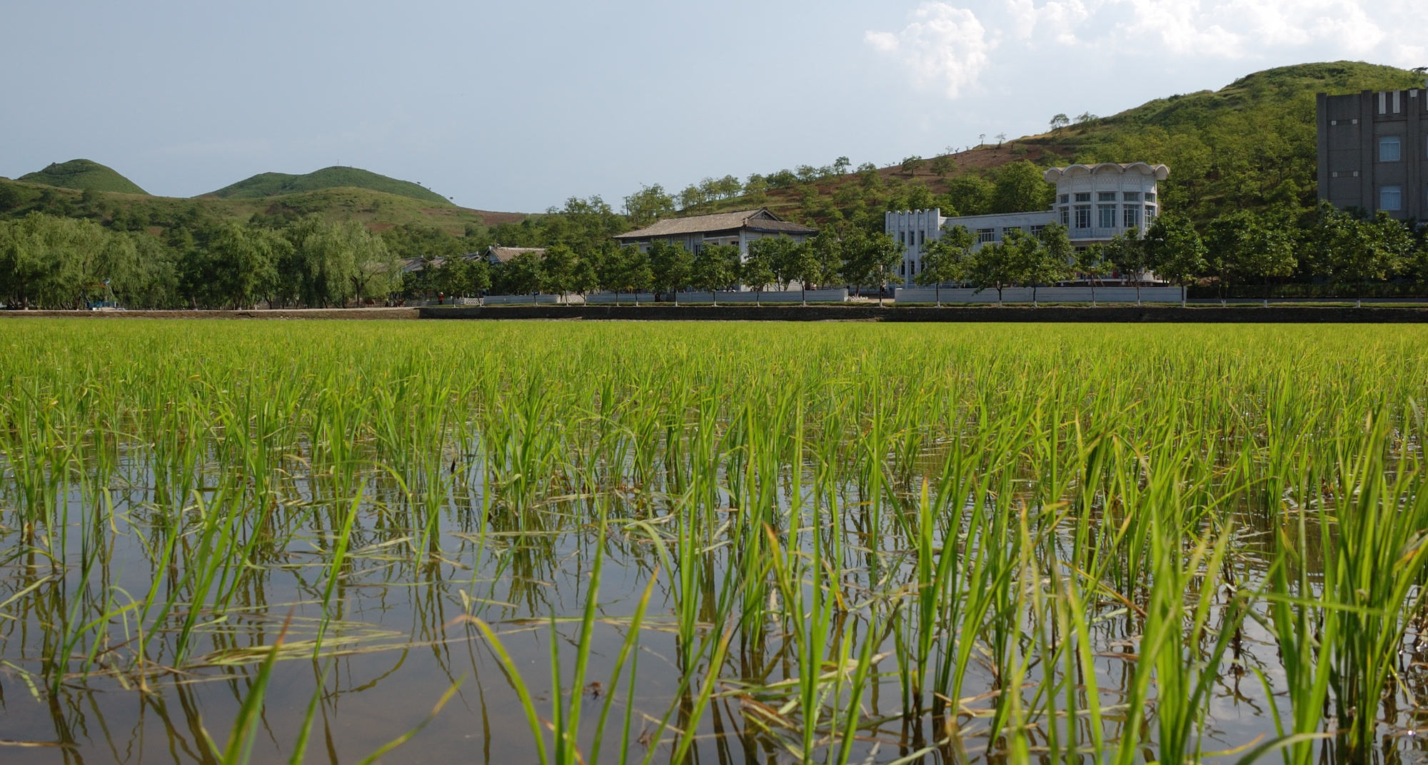 북한 군지원 압박