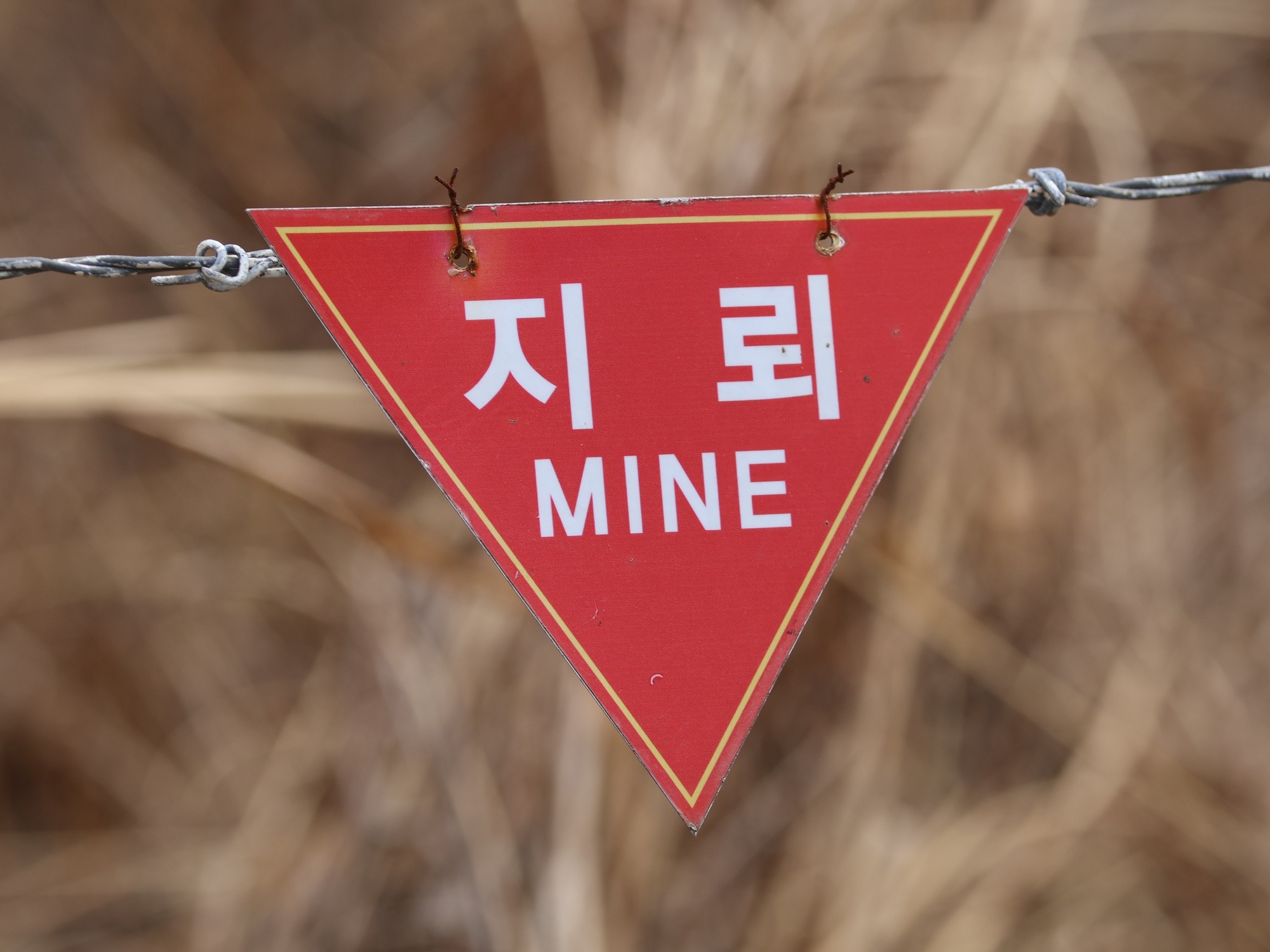 북한 지뢰 유실 감시