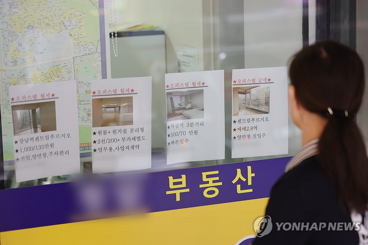 정부